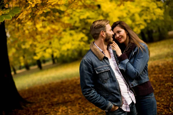 seven çift sonbahar Park