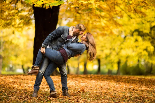 Casal no parque de outono — Fotografia de Stock