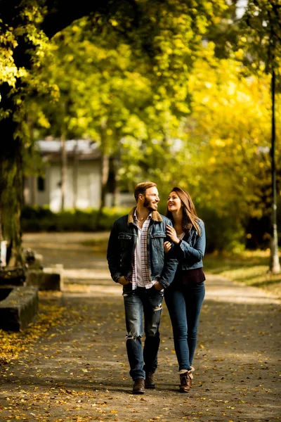 Couple marchant dans le parc d'automne — Photo