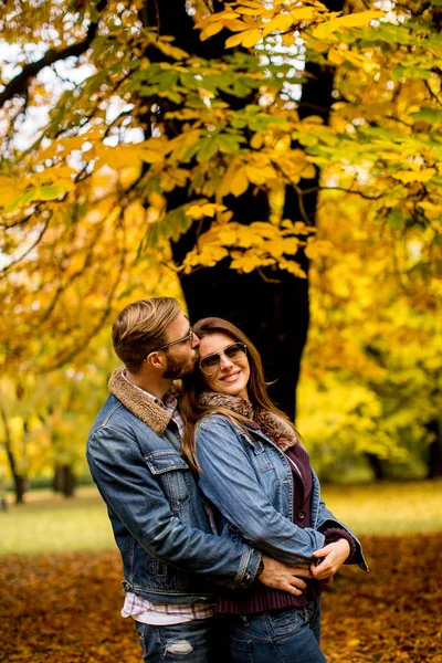 Coppia nel parco autunnale — Foto Stock