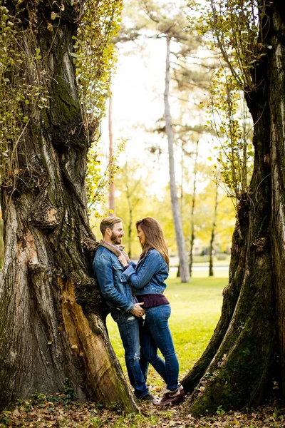 Couple aimant dans le parc d'automne — Photo