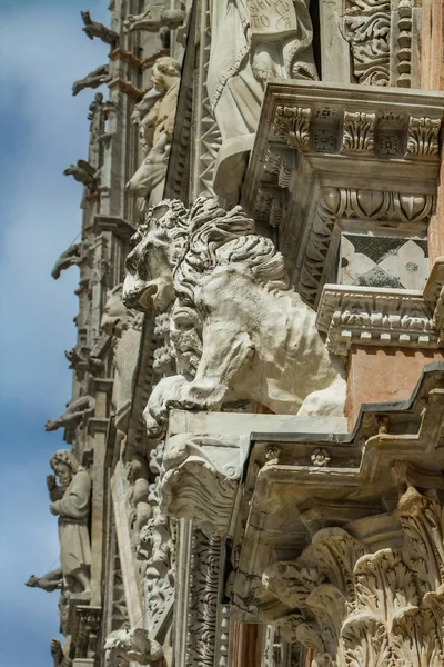 Detail of Siena cathedral — Stock Photo, Image