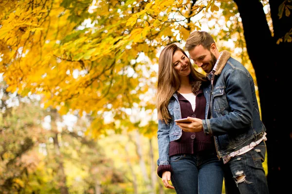 Couple with phone in autumn park — Stock Photo, Image