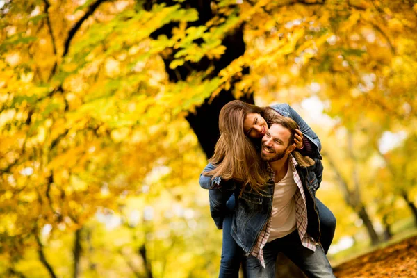 Mladý pár v podzimním parku — Stock fotografie