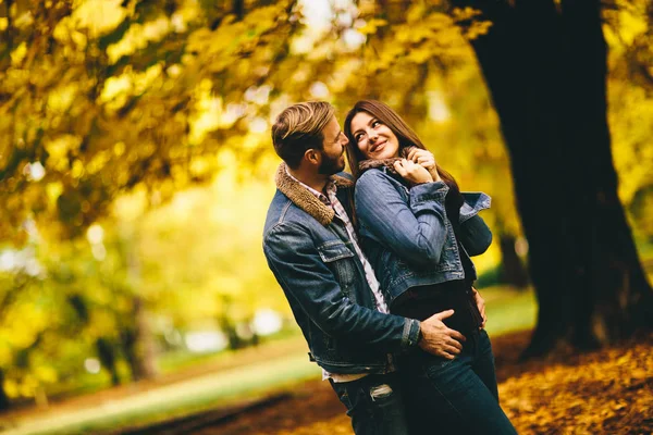 Casal amoroso no parque de outono — Fotografia de Stock