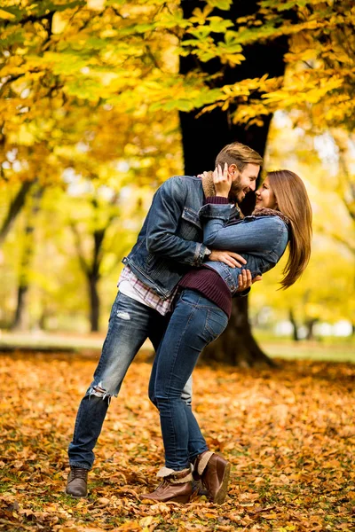 Jovem casal no parque de outono — Fotografia de Stock