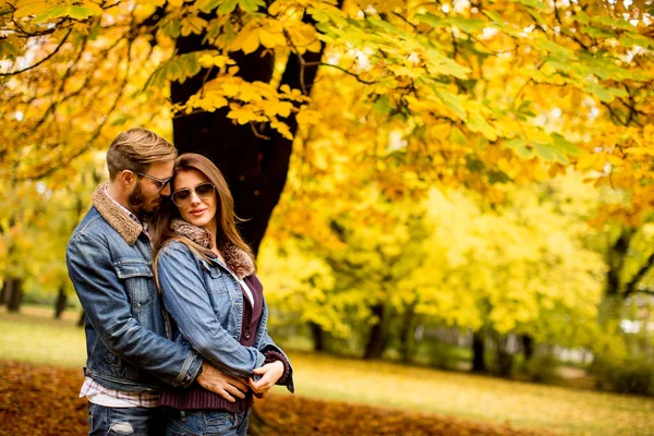 Ungt par i höst park — Stockfoto