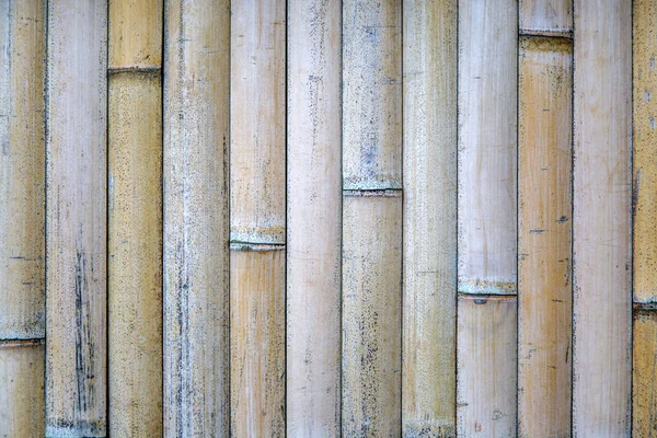 Деталь бамбукового паркану — стокове фото