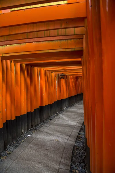 Santuário de Fushimi Inari em Kyoto — Fotografia de Stock