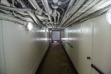 Hikawa Maru ocena astar