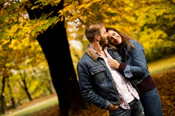 Casal amoroso no parque de outono — Fotografia de Stock