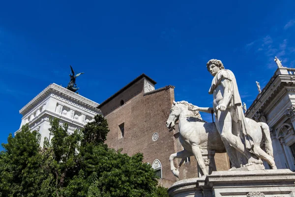 Standbeeld van Castor op de Piazza del Campidoglio — Stockfoto