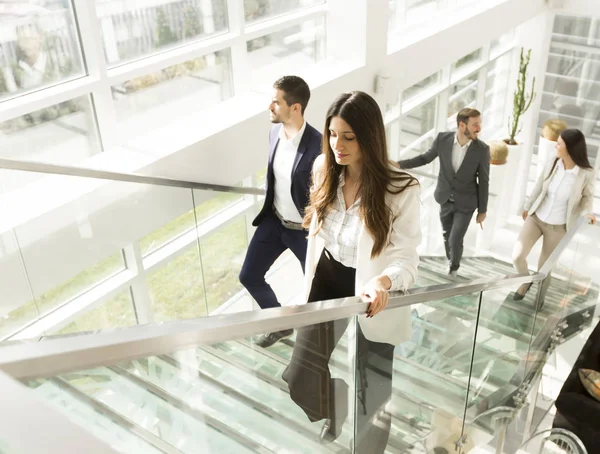 Young business people in office — Stock Photo, Image