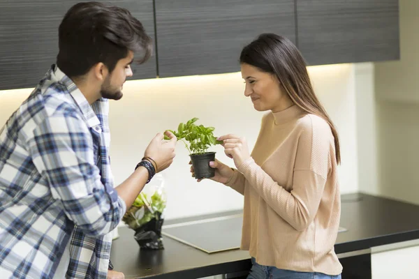 Jong stel in de keuken — Stockfoto