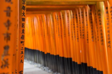Fushimi Inari shrine in Kyoto clipart