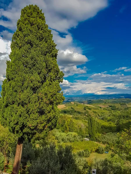 Chianti from San Gimignano — Stock Photo, Image