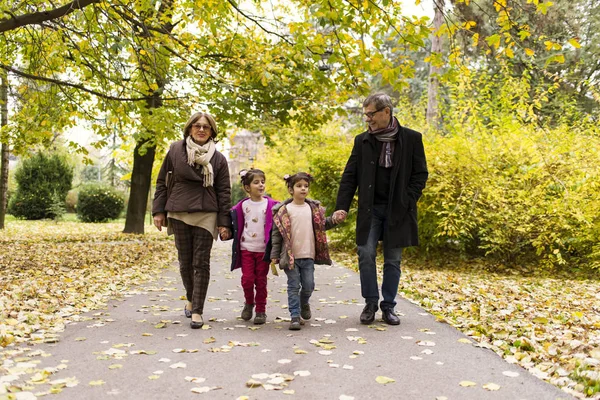 Nonni con nipoti nel parco autunnale — Foto Stock