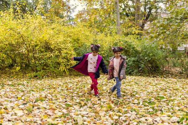 Kleine meisjes in het herfstpark — Stockfoto