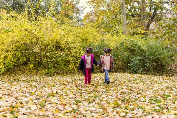 Bambine nel parco autunnale — Foto Stock