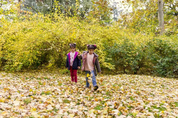 Kleine meisjes in het herfstpark — Stockfoto