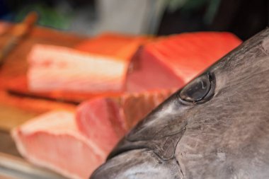 Tsukiji fisha pazarı Tokyo'da