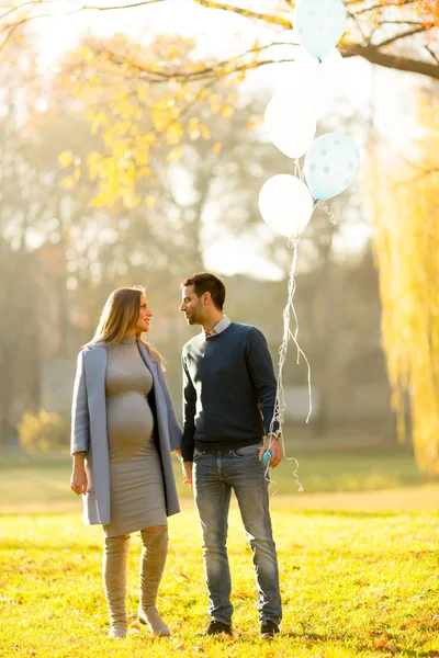 Joyeux couple dans le parc d'automne — Photo