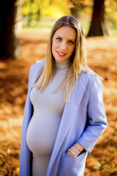 Zwangere vrouw poseren in het park — Stockfoto