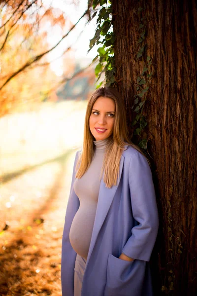 Pregnant woman posing in the park — Stock Photo, Image