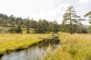 Genç çayır uzun yürüyüşe çıkan kimse