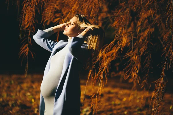 Mulher grávida posando no parque — Fotografia de Stock