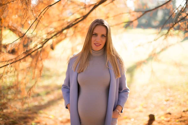 Mulher grávida posando no parque — Fotografia de Stock