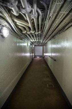 Hikawa Maru ocena astar
