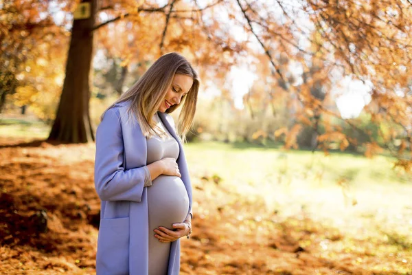 Terhes nő pózol a parkban — Stock Fotó