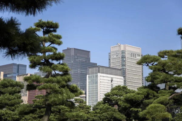 Prachtig groen park in Tokio — Stockfoto