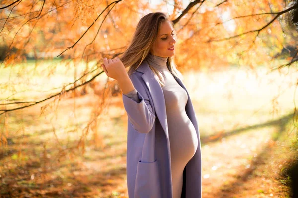 Femme enceinte posant dans le parc — Photo