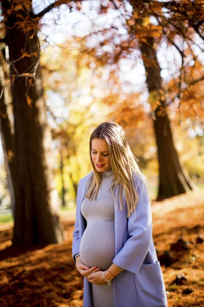 Young pregnant woman — Stock Photo, Image