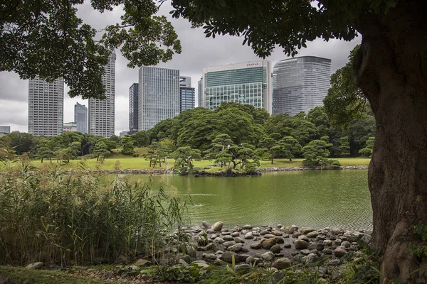 Ogrody Hamarikyu w Tokio — Zdjęcie stockowe
