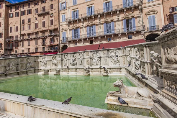Fonte Gaia auf der Piazza del Campo — Stockfoto