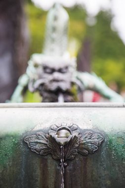 Dragon fountain near Rinnoji Temple clipart