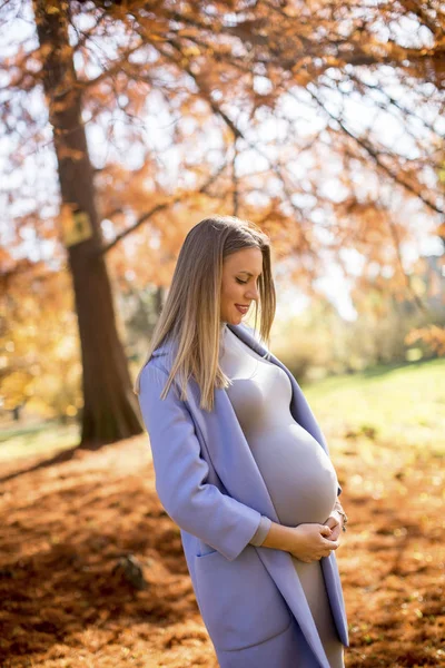 Jeune femme enceinte — Photo