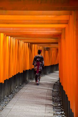 Fushimi Inari tapınak Kyoto