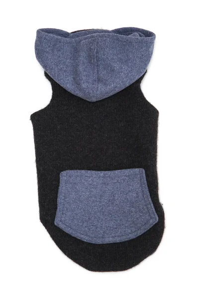 Dog sweater design — Stock Photo, Image