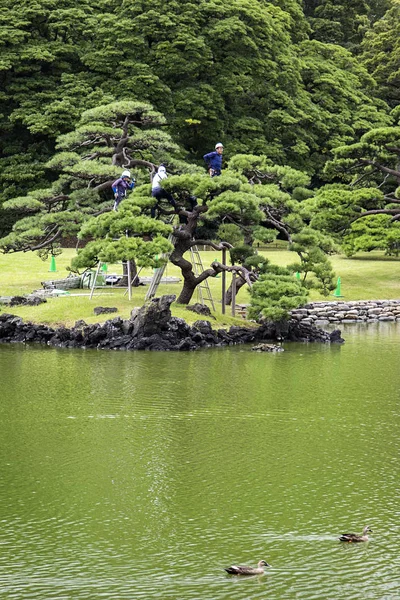 Giardini Hamarikyu a Tokyo — Foto Stock