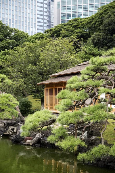 Ogrody Hamarikyu w Tokio — Zdjęcie stockowe