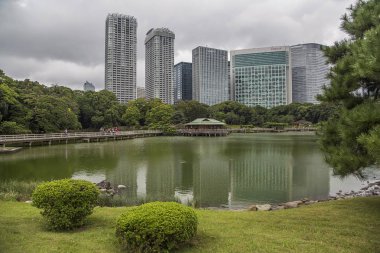 Hamarikyu bahçeleri Tokyo