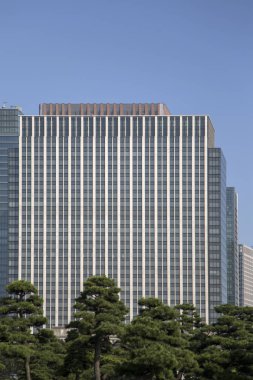 Güzel yeşil park Bahçe Tokyo