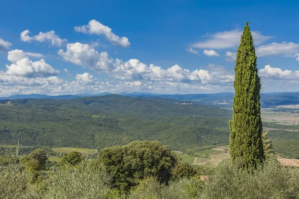 View at Val d'Orcia from Montalcino — Stock Photo, Image