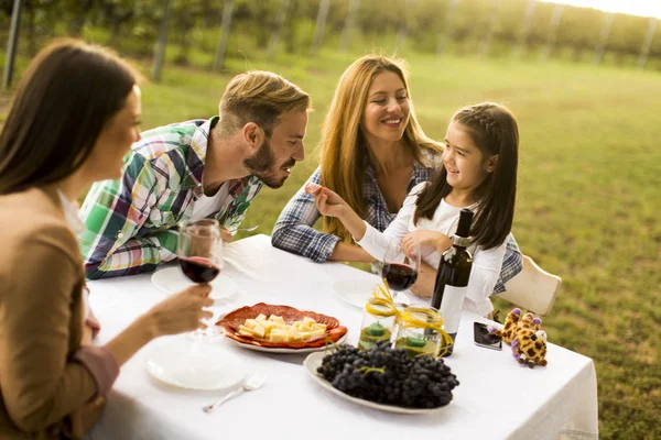 Young people having lunch at  vineyard — Stock Photo, Image