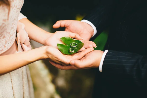 Recém-casados segurar anéis de casamento na folha — Fotografia de Stock