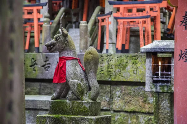 Estátua da raposa no santuário de Fushimi Inari — Fotografia de Stock